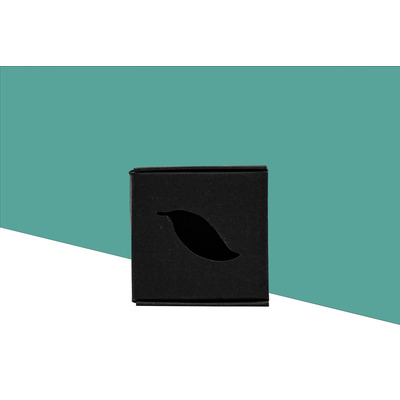 Mini Vibe Brush + Sample Kit